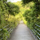 人の心はわからない